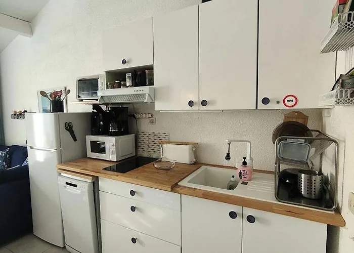 Appartement Résidence Palmyra - T2 Mezzanine - 6 Personnes - Clim En Option - Piscine Inclus Mae-5774 *